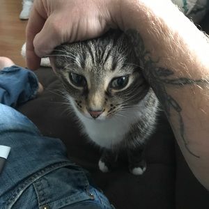 Meet your Posher, Greg